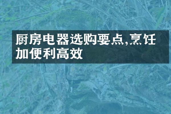厨房电器选购要点,烹饪更加便利高效