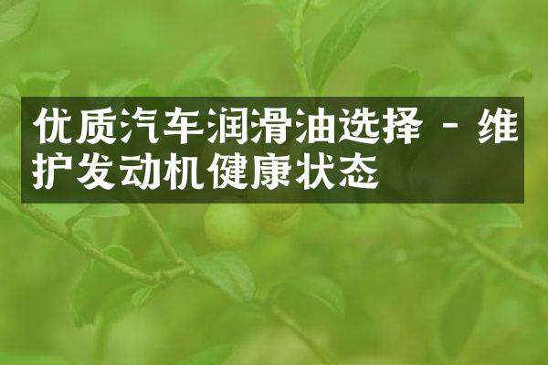 优质汽车润滑油选择 - 维护发动机健康状态