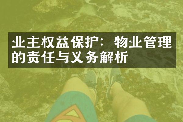业主权益保护：物业管理的责任与义务解析
