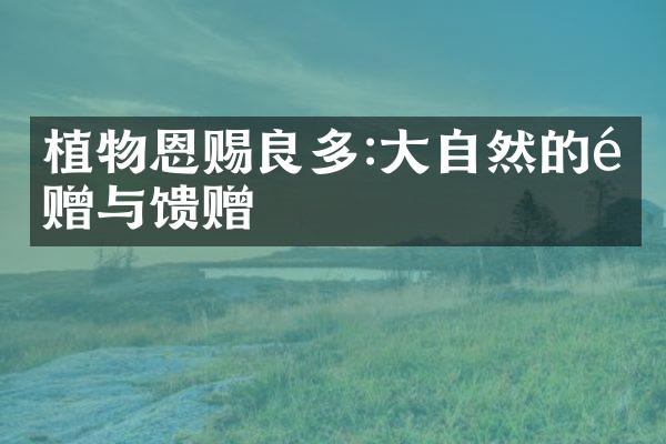植物恩赐良多:大自然的馈赠与馈赠