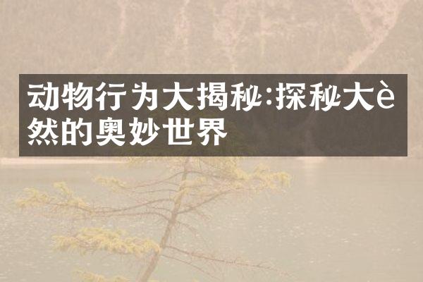 动物行为大揭秘:探秘大自然的奥妙世界