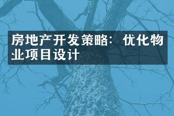 房地产开发策略：优化物业项目设计
