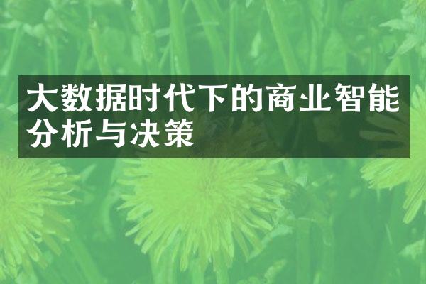 大数据时代下的商业智能分析与决策