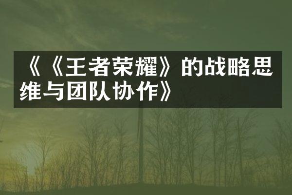《《王者荣耀》的战略思维与团队协作》