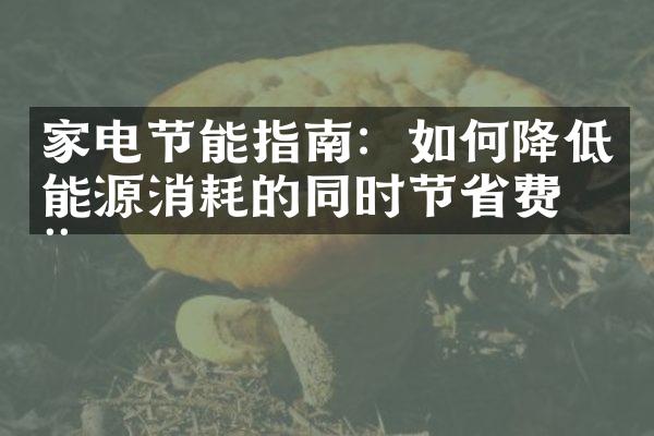 家电节能指南：如何降低能源消耗的同时节省费用