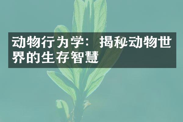 动物行为学：揭秘动物世界的生存智慧