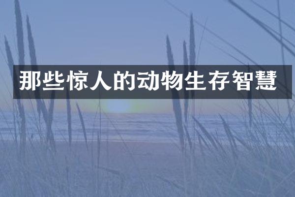 那些惊人的动物生存智慧