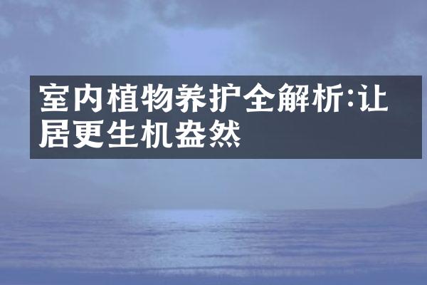 室内植物养护全解析:让家居更生机盎然