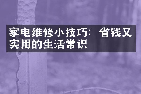 家电维修小技巧：省钱又实用的生活常识