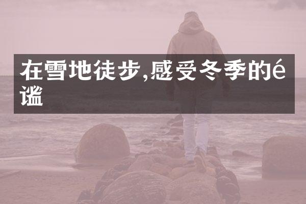 在雪地徒步,感受冬季的静谧