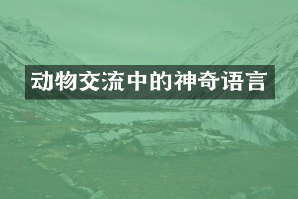 动物交流中的神奇语言