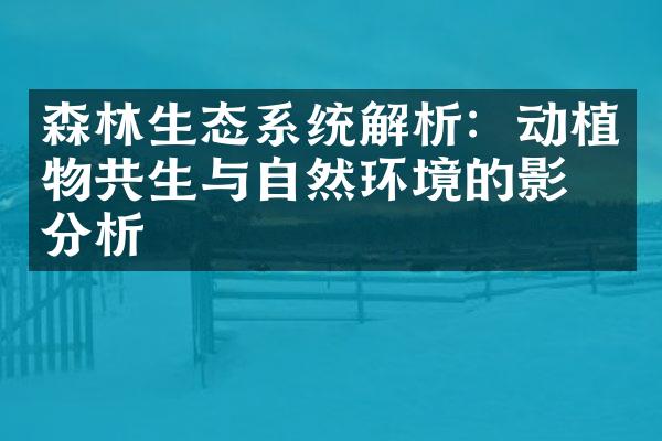 森林生态系统解析：动植物共生与自然环境的影响分析