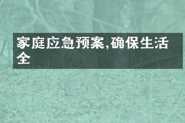 家庭应急预案,确保生活安全