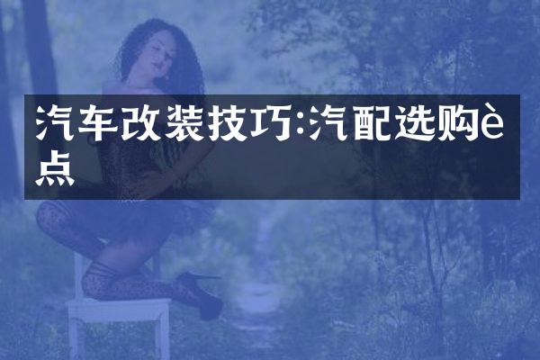 汽车改装技巧:汽配选购要点