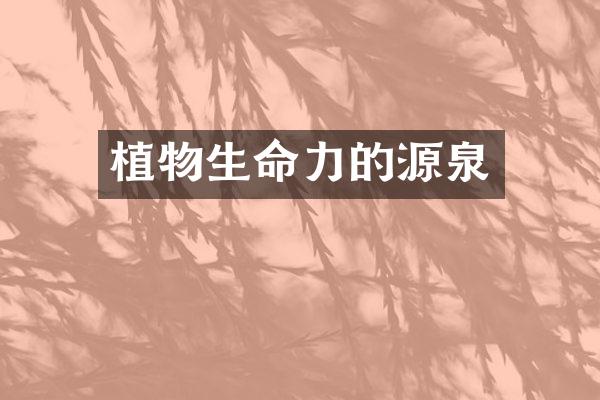 植物生命力的源泉