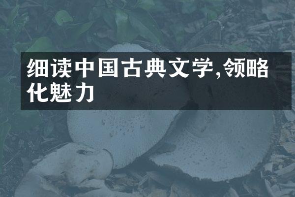细读中国古典文学,领略文化魅力