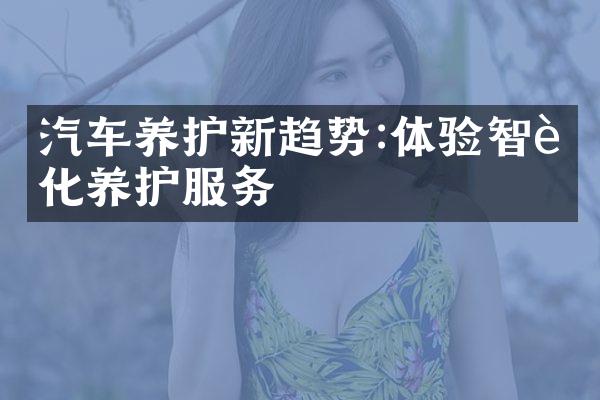 汽车养护新趋势:体验智能化养护服务