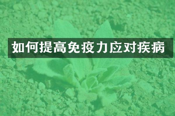 如何提高免疫力应对疾病