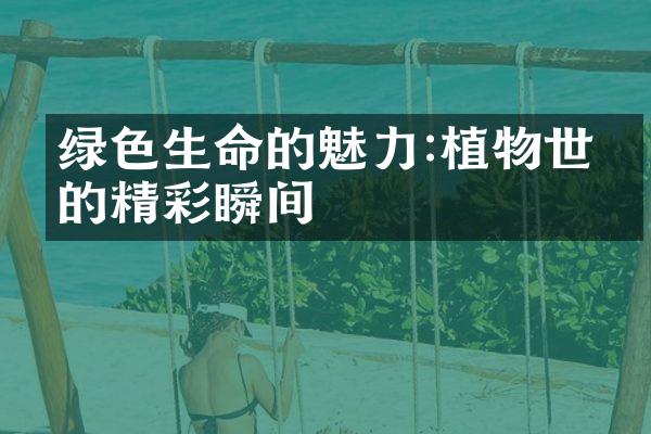 绿色生命的魅力:植物世界的精彩瞬间