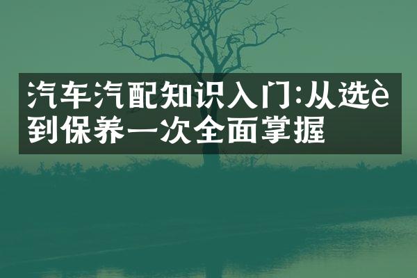 汽车汽配知识入门:从选购到保养一次全面掌握