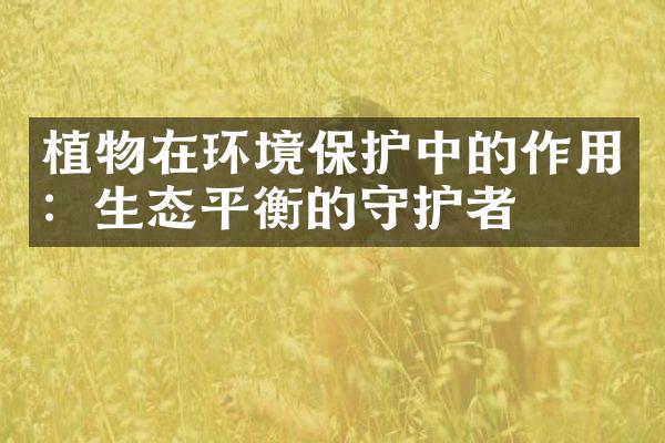 植物在环境保护中的作用：生态平衡的守护者