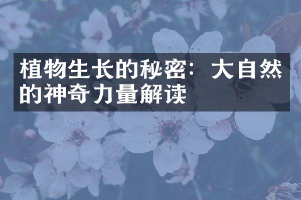 植物生长的秘密：大自然的神奇力量解读