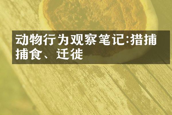动物行为观察笔记:猎捕、捕食、迁徙