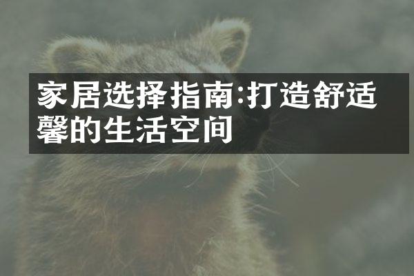 家居选择指南:打造舒适温馨的生活空间