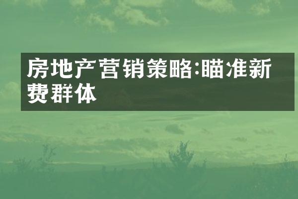 房地产营销策略:瞄准新消费群体