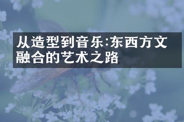从造型到音乐:东西方文化融合的艺术之路