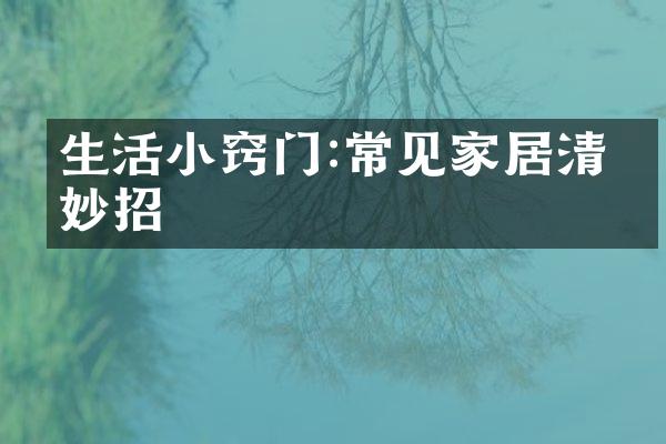 生活小窍门:常见家居清洁妙招
