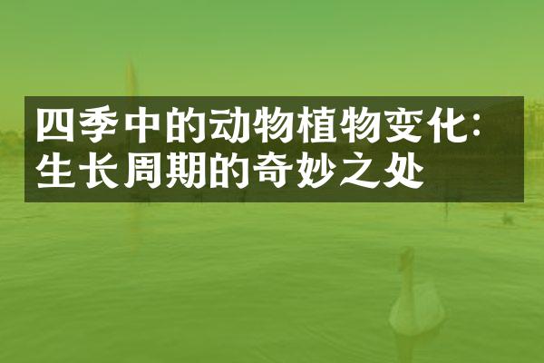 四季中的动物植物变化：生长周期的奇妙之处