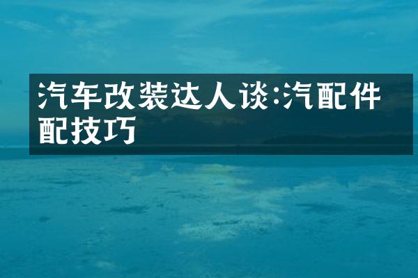 汽车改装达人谈:汽配件搭配技巧