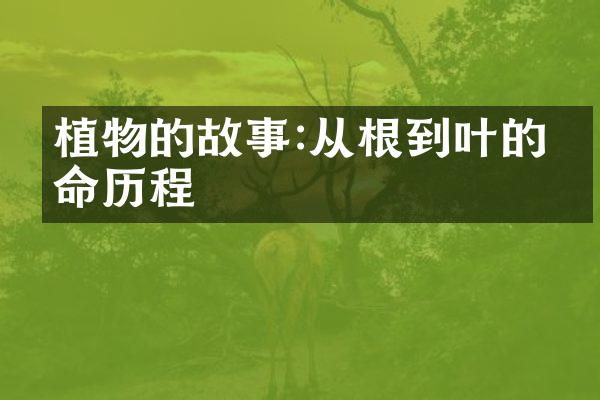植物的故事:从根到叶的生命历程