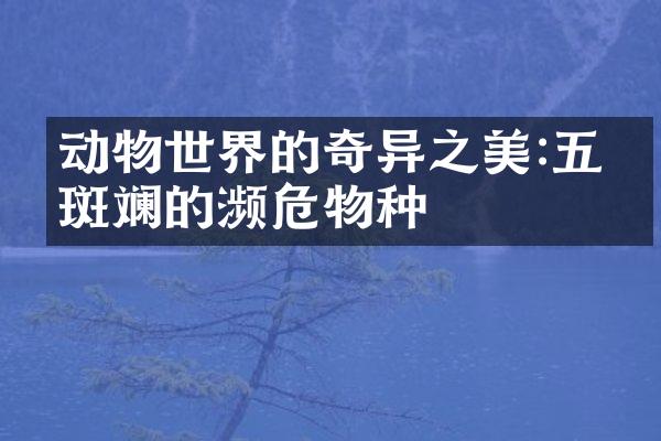 动物世界的奇异之美:五彩斑斓的濒危物种