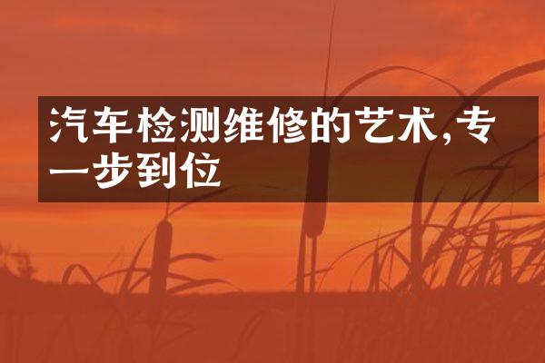 汽车检测维修的艺术,专家一步到位