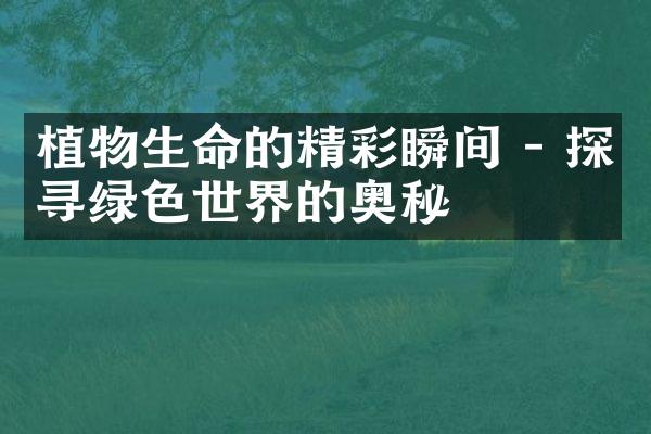 植物生命的精彩瞬间 - 探寻绿色世界的奥秘