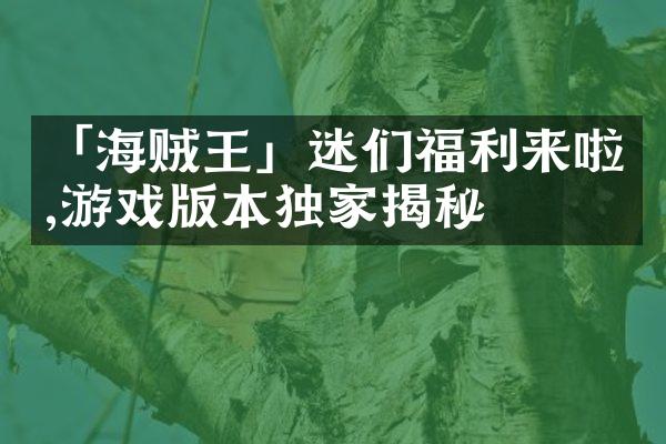 「海贼王」迷们福利来啦,游戏版本独家揭秘