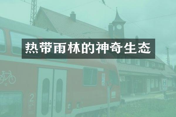热带雨林的神奇生态
