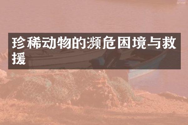 珍稀动物的濒危困境与救援