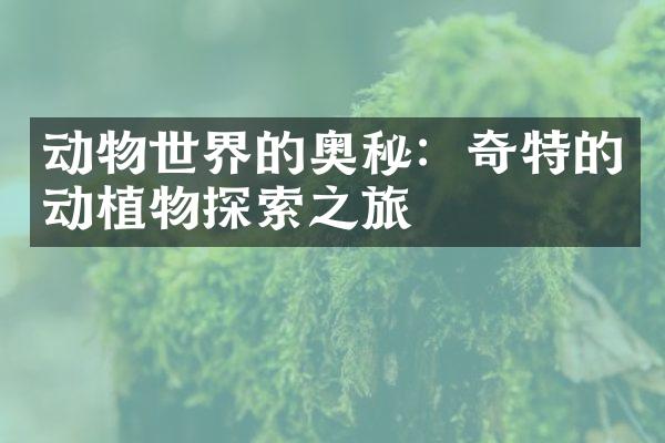动物世界的奥秘：奇特的动植物探索之旅