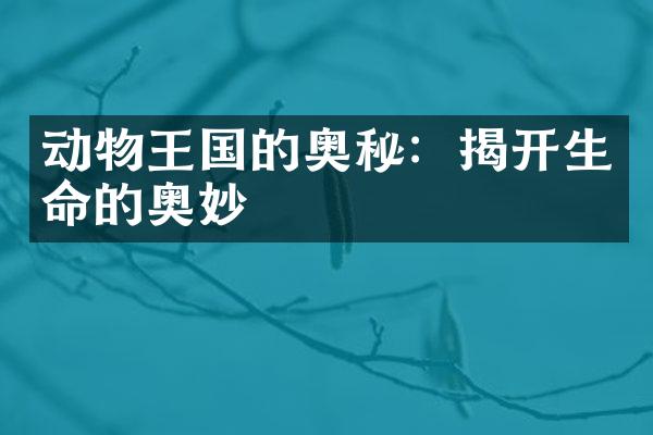 动物王国的奥秘：揭开生命的奥妙