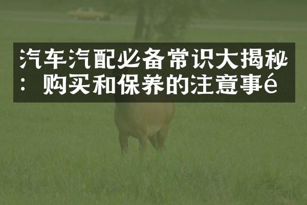 汽车汽配必备常识大揭秘：购买和保养的注意事项