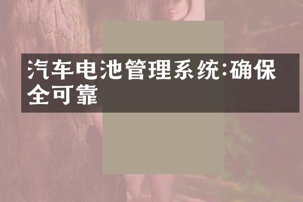 汽车电池管理系统:确保安全可靠