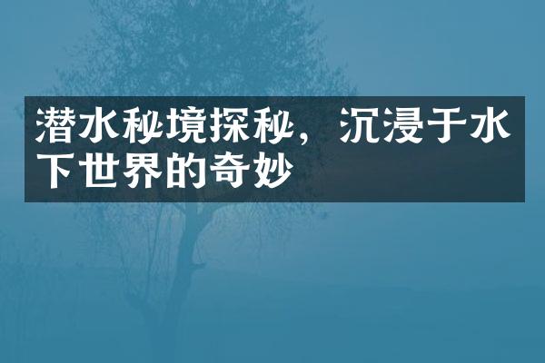 潜水秘境探秘，沉浸于水下世界的奇妙