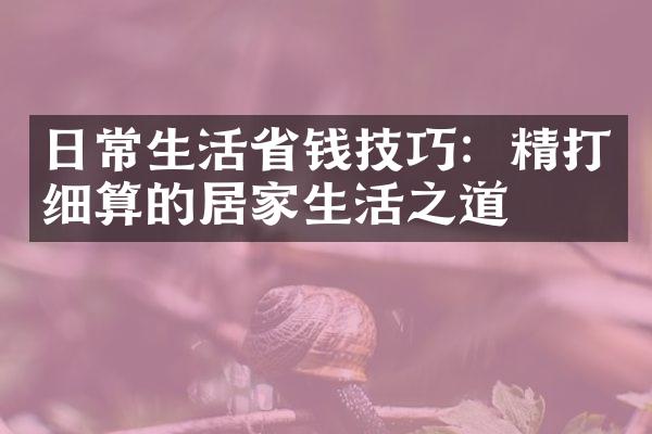 日常生活省钱技巧：精打细算的居家生活之道