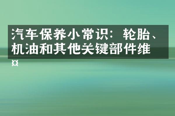 汽车保养小常识：轮胎、机油和其他关键部件维护