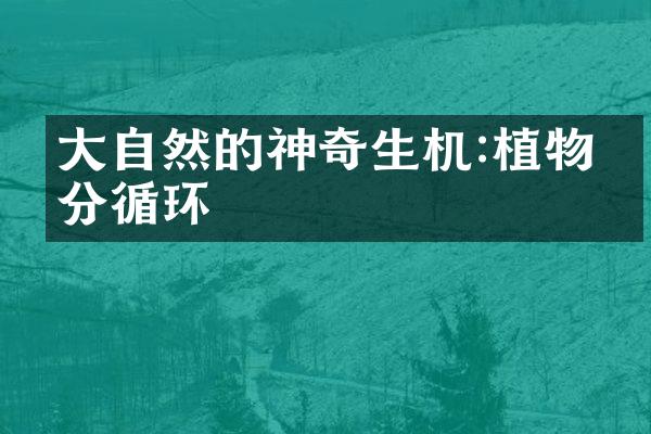 大自然的神奇生机:植物养分循环