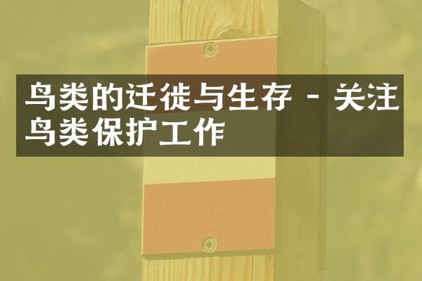 鸟类的迁徙与生存 - 关注鸟类保护工作
