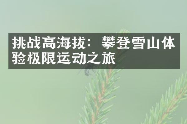 挑战高海拔：攀登雪山体验极限运动之旅